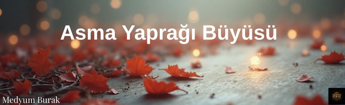 asma yaprağı büyüsü
