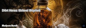 Dört Hırsız Sirkesi Büyüsü